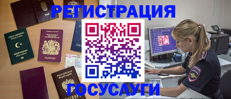 прописка для школы в Чудово